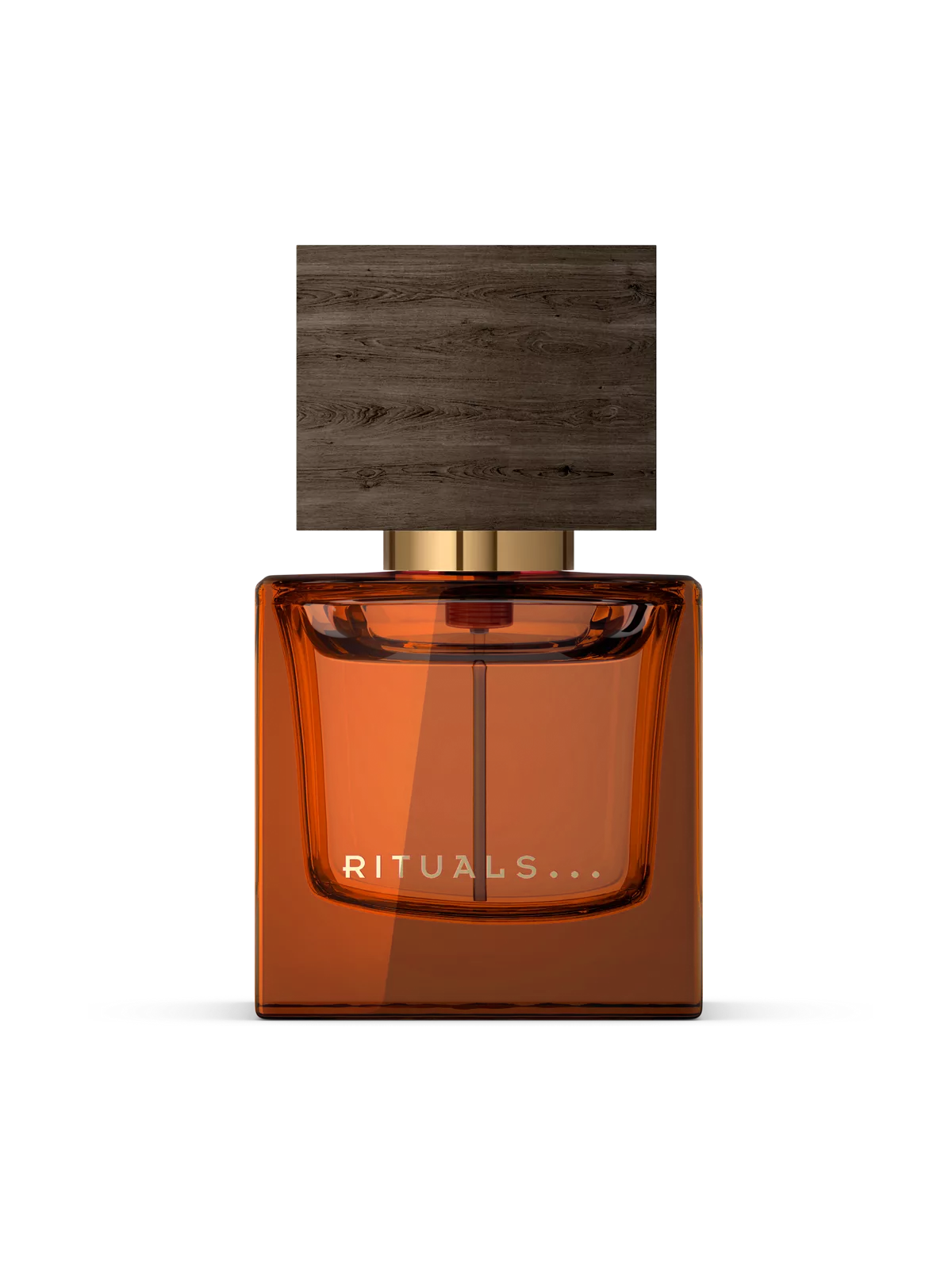 Travel - Maharaja d’Or