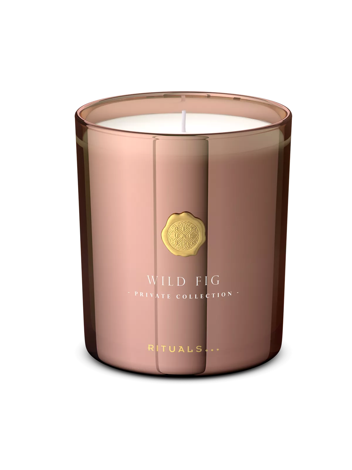 Wild Fig Scented Candle 360g