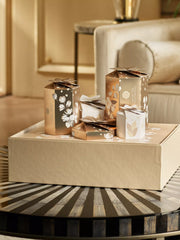 Home Gift Set 2025 Lifestyle with Closed Pack
