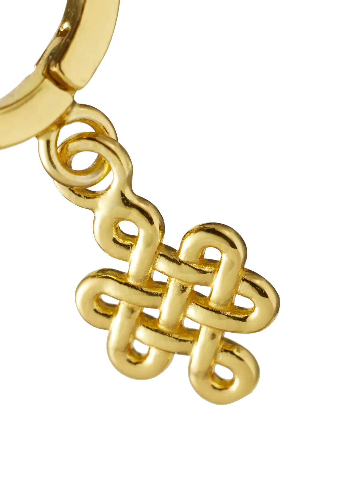 Infinity Round Earrings Gold Plated